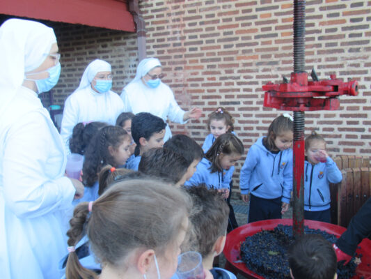 Galeria Vendimia 2021